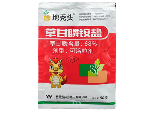 地禿頭 地禿頭